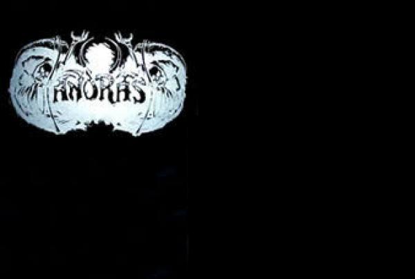 Andras - Logo  Girlie TS