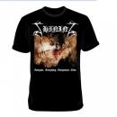 Shining - IX-Everyone, Everything, Everywhere, Ends  Shirt